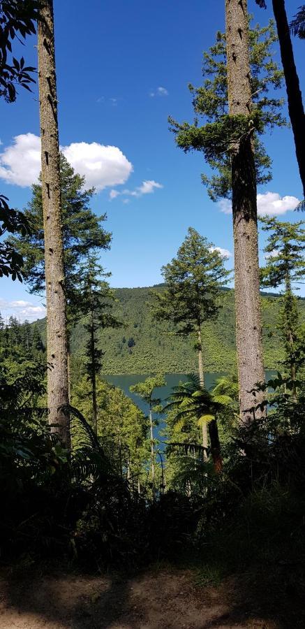 Willa Folia Domus Nz, Redwoods, Mbt Rotorua Zewnętrze zdjęcie